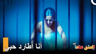 بحثا عن حب اليشم | مسلسل العشق عناداً