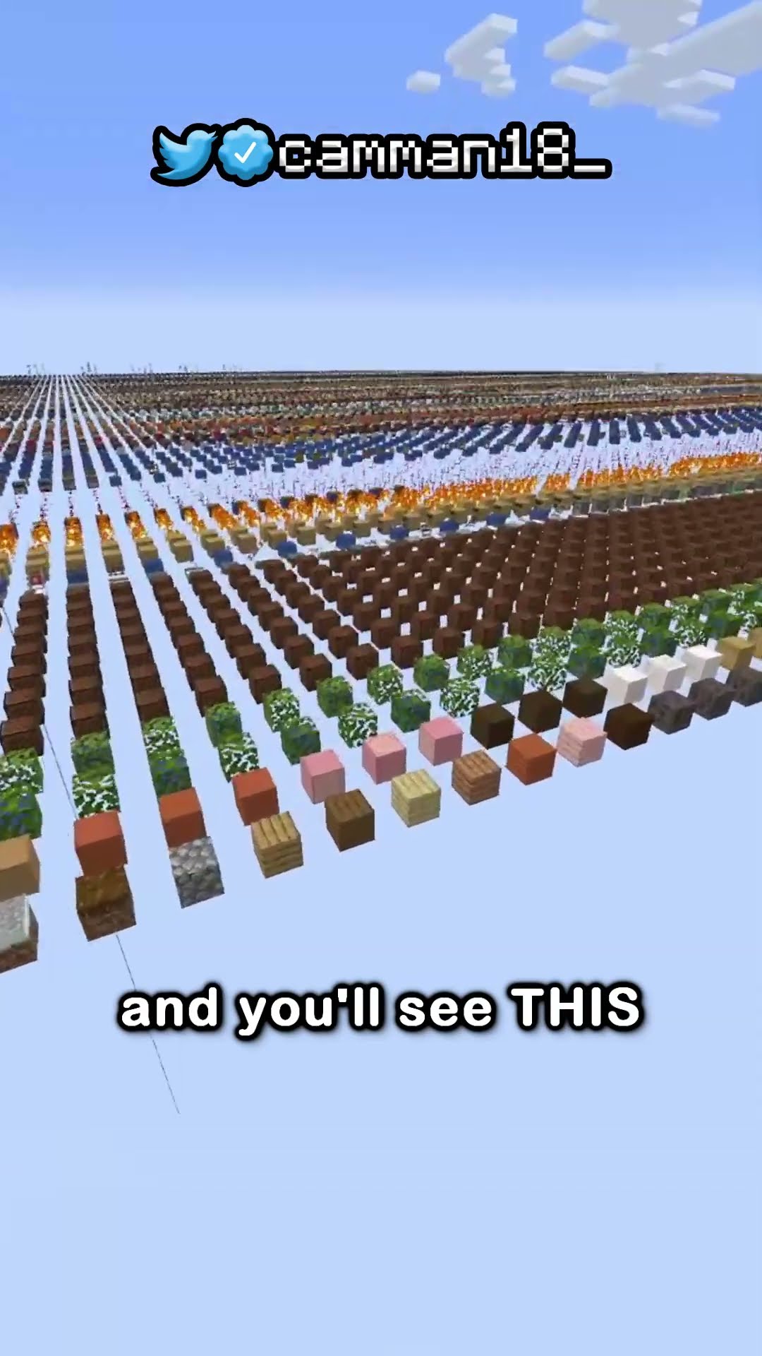 the secret minecraft world type...