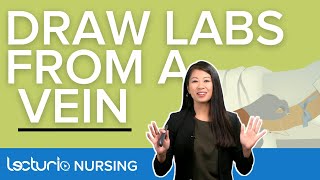 How To Draw Labs Via Venipuncture for Nurses (Step by Step Demo) | Lecturio Nursing Clinical Skills