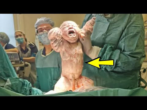 Video: Kad piedzima Stenlijs?