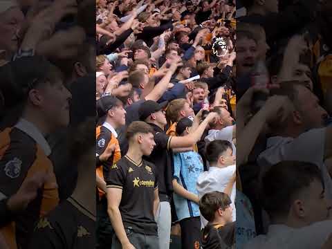 Hull Fans Send A Message To Man Utd 🐯