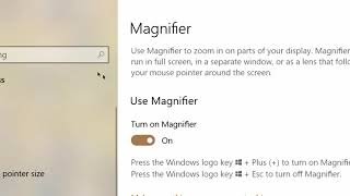 Use Magnifier in 1 Minute: How to Use Zoom Magnifier in Window 10 screenshot 4