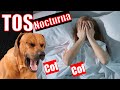 Tos CARDIACA en perros 🍓 ¿No te deja dormir?