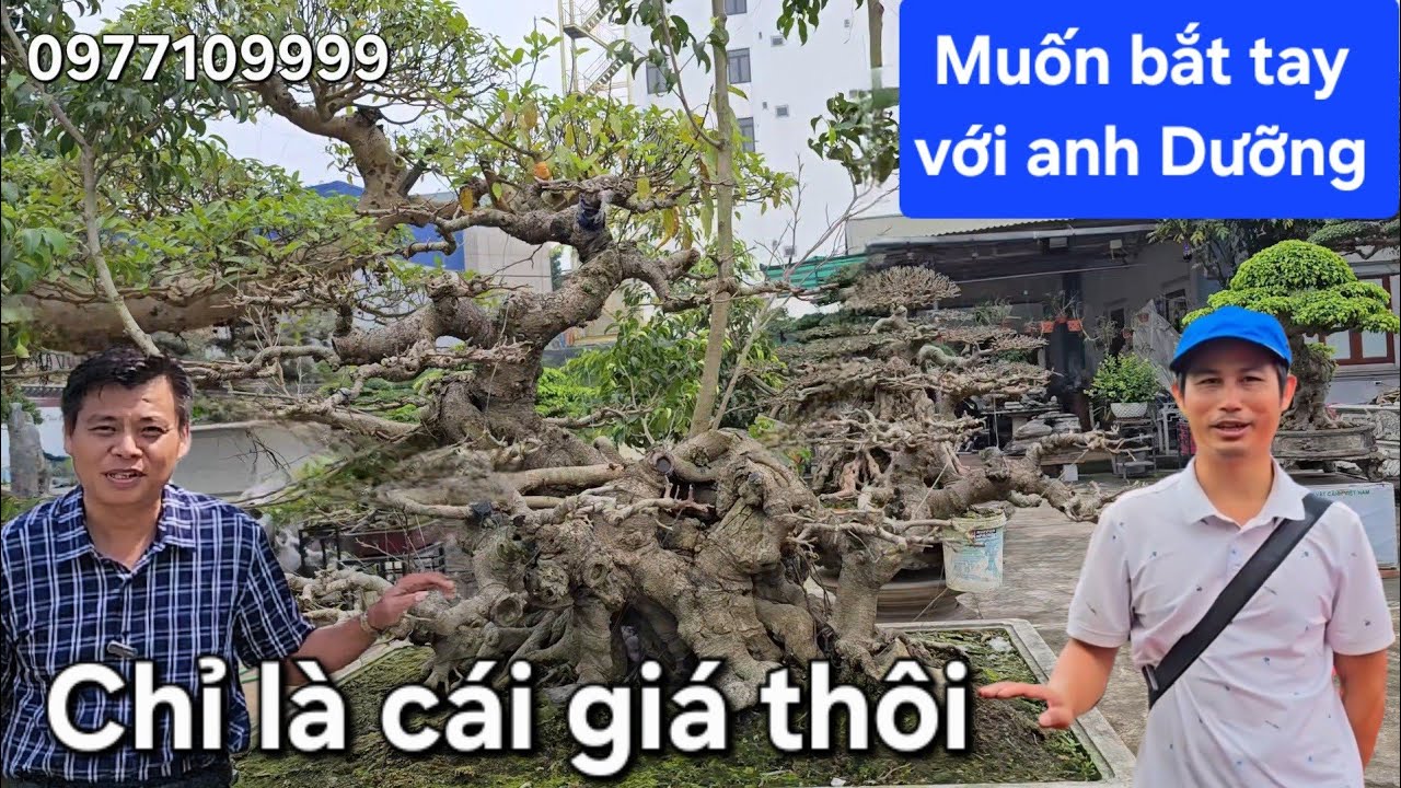 Muốn được bắt tay với anh Dưỡng quá mà chưa đủ tiền 