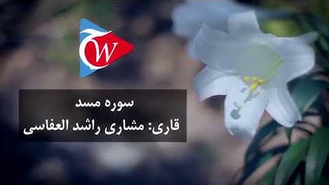 111 - سوره مسد