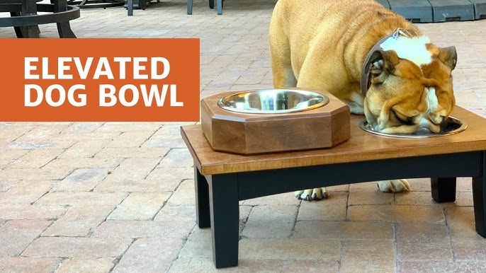 Easy DIY Dog Bowl Stand (Bone-Shaped!)