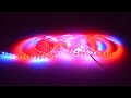 LC8805B-2020SMD 96Pixels/m Addressable RGB led strip DC5V