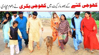 Khoji Bakri//Bhotna,Shoki, Bilo ch koki Cheena & Sanam Mahi New Funny Video By Rachnavi Tv2