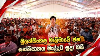 sudaa-creation-464