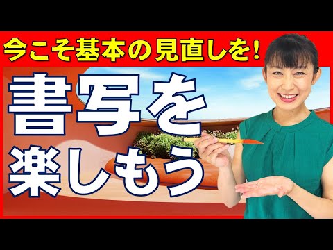 本日限定お値下げー！【希少】書道教範 aoshima-bk_5959