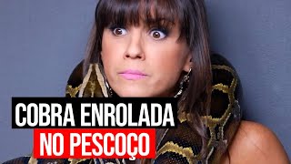 Panicats São Trolladas Durante Sessão De Fotos