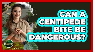 Can A Centipede Bite Be Dangerous?