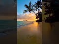 Most beautiful sunset ever… pure peace 🌅💖 #sunset #nature #fyp #shorts #beach #stressrelief #relax