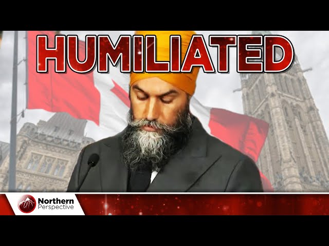 Reporters SLAUGHTER Jagmeet at his OWN PRESS CONFERENCE!