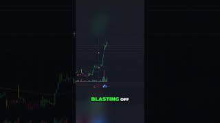 500% Gains! Options Trades Blasting Off - 'HIMS' #shorts #marketcipher #cryptoface #mc #cf #options