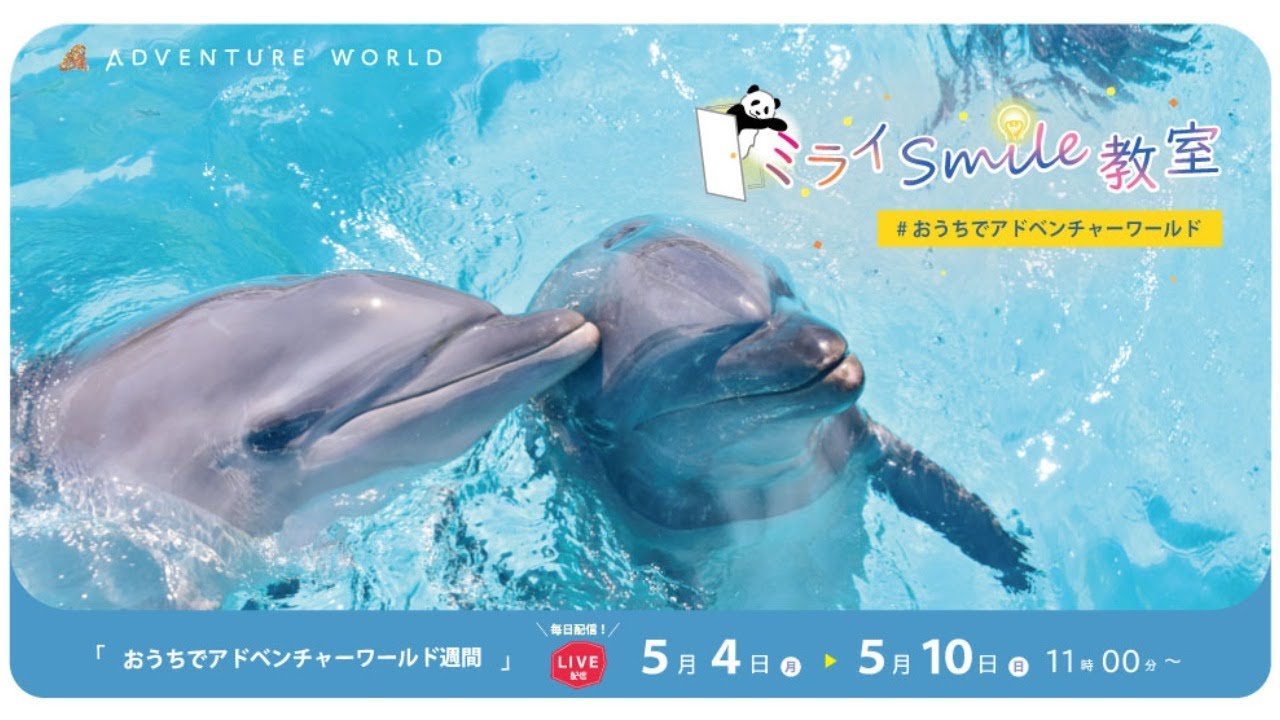 ミライSmile教室 第7回 『骨格標本から学ぶ 海獣類編』 - YouTube