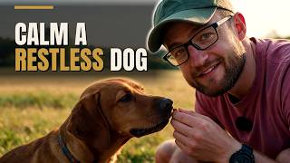 The 5 minute scent game every dog owner should play screenshot 1