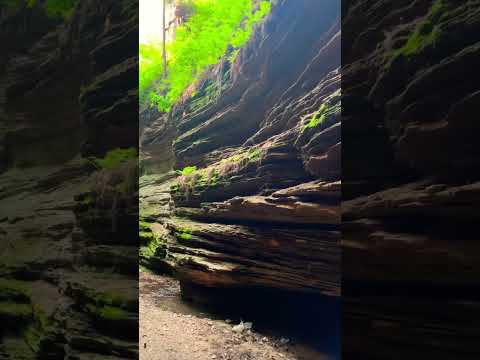 The Lost Canyon Lake Delton Wisconsin #viral #nature #travel #usa #shortsvideo