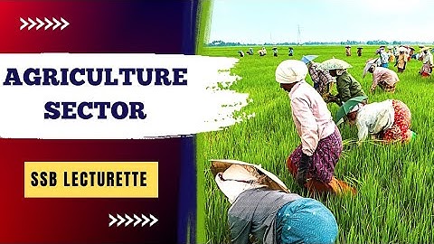 Agriculture Sector In India | SSB lecturette #nda #ssb #cds