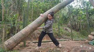 FULL VIDEO: 300 Days 17-Year-Old Girl Builds a Bamboo House Alone - START TO FINISH - TIMELAPSE