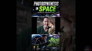 How Do Plants Grow in Space? 🚀🌱 Explained | No Soil, No Gravity, Still Growing Plants 😳 | Astrotvx