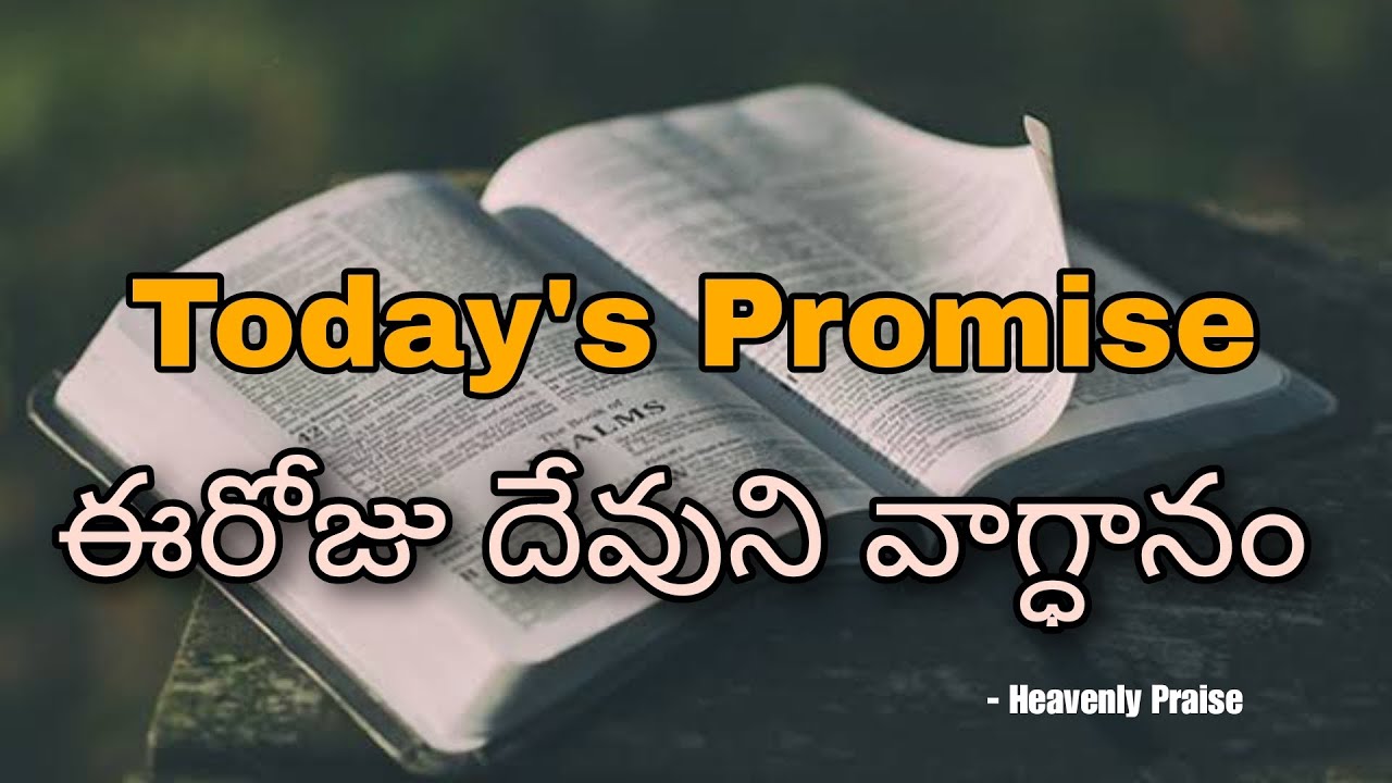 Today's Promise | 03-01-24 Wednesday - YouTube