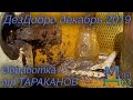 ДезДобро декабрь 2019 Каменск-Уральский