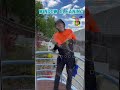 ✨ Sparkling windows in Hobart with #OlehServiceGroup! #HobartWindowCleaning #ShinyHome ✨