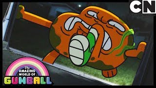 Szczeniaczek | Niesamowity świat Gumballa | Cartoon Network