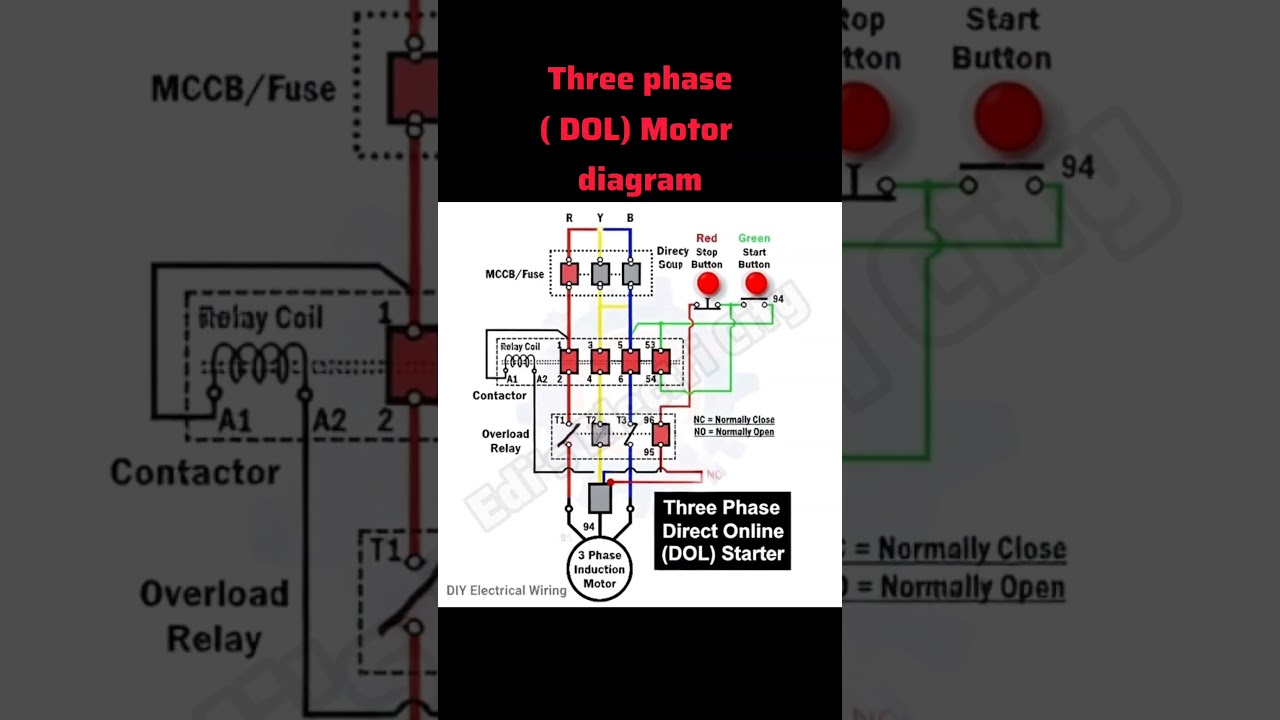 How to Wire a 3-Phase Induction Motor (DOL Starter Guide)
