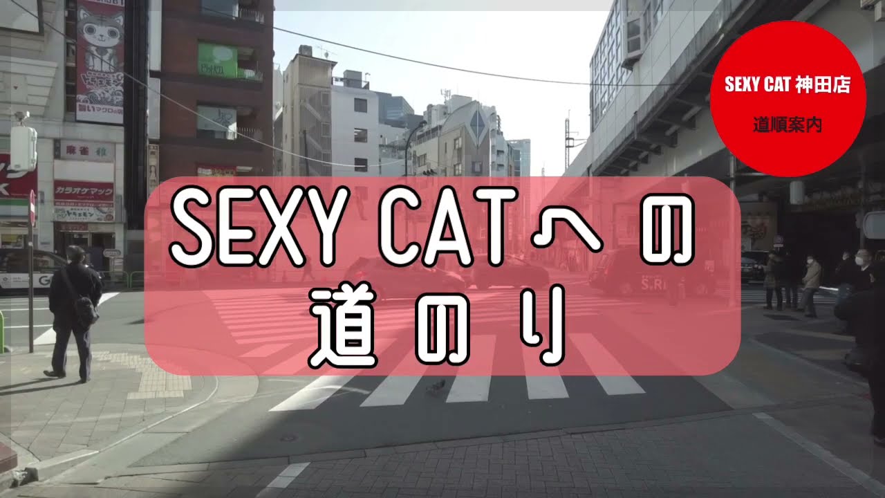 神田 セクシー キャット