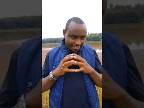 SANO250MTV MUPENZI YAJE AKIRA IJAMBO 