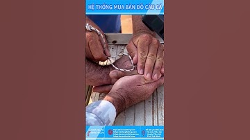 CÁCH THÁO LƯỠI CÂU BỊ MÓC VÀO TAY #Đồ Câu Hải Đăng