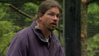 Stealing, Spying and Bluffing: The Raven Extraordinary Animals Series 2 Earth