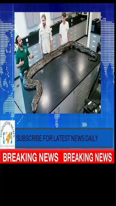 The 18 feet long python wrapped around the owner's neck ', '#python ...