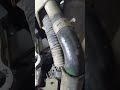 radiator pip likh