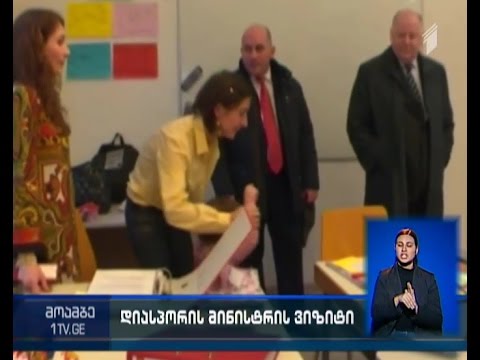 დიასპორის საკითხებში საქართველოს სახელმწიფო მინისტრის ვიზიტი ავსტრიაში