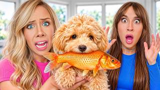 MY DOG ATE MY BEST FRIENDS PET FISH...
