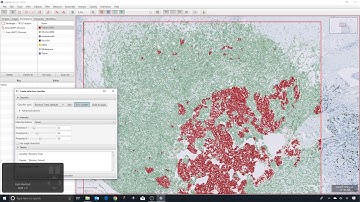 22 - Training a cell classifier
