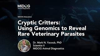 Cryptic Critters: Using Genomics to Reveal Rare Veterinary Parasites