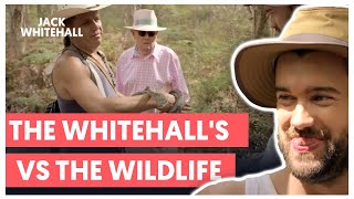 Kangaroo Confusion and Outback Adventures | The Whitehalls Vs The Wildlife