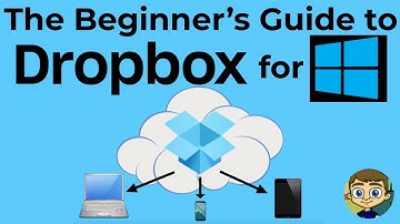 The Beginner