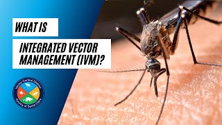 What is Integrated Vector Management?