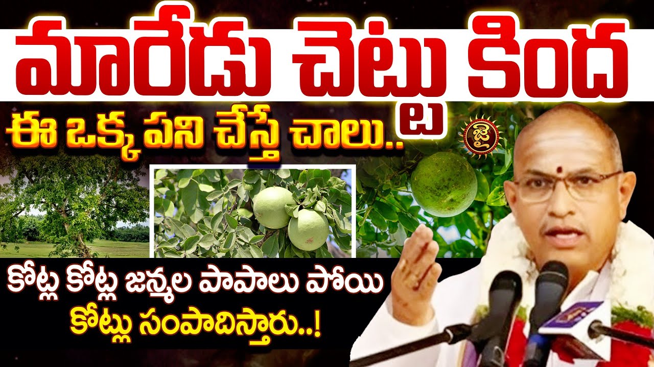 మారేడు చెట్టు కింద ఈ ఒక్క పని చేస్తే చాలు.. || Chaganti Koteshwara Rao Pravachanalu | Jai Hindu