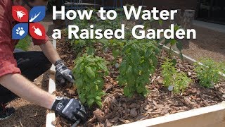 Do My Own Gardening - How to Water a Raised Garden Bed 