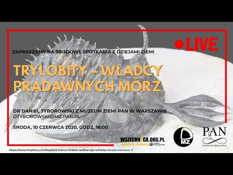 Trylobity – władcy pradawnych mórz / Dr Daniel Tyborowski