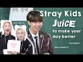 stray kids juice to make your day better