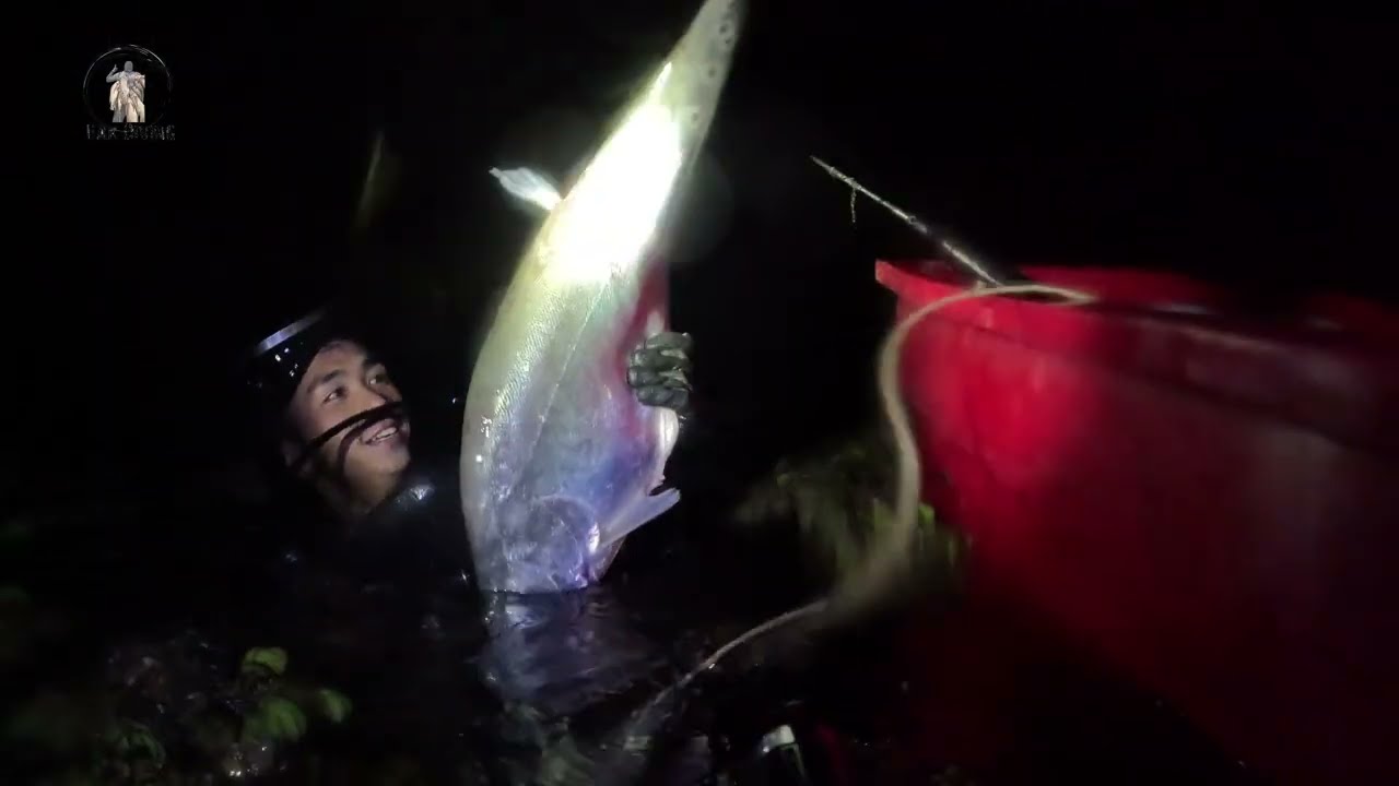 สำรวจใต้น้ำมูล กลางคืน เจอปลาเยอะมาก