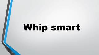 meaning of whip smart