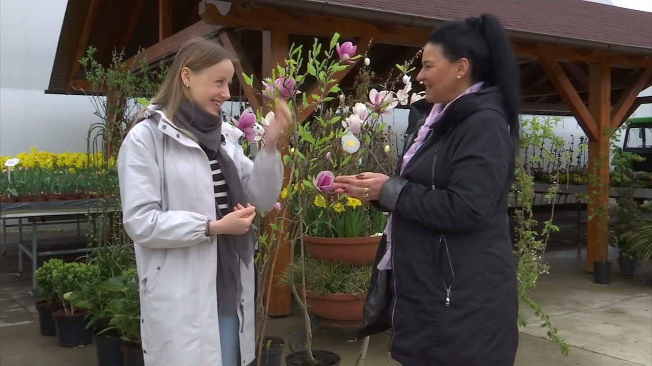 Zielono mi   kwiecien 2024